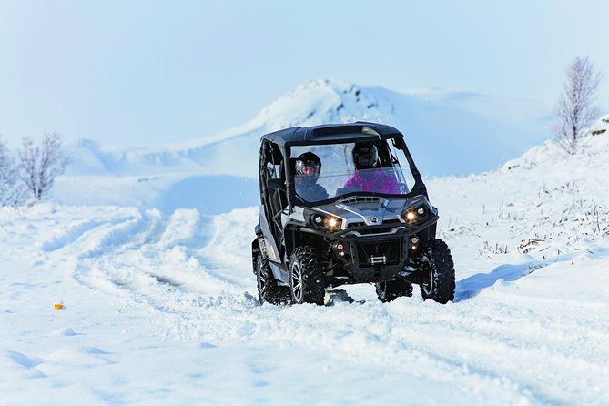 1 hour Buggy adventure - From Reykjavik - The photo stop above the city