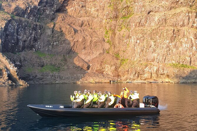 1 Hour Iceland Nature and Wildlife RIB Small Group Guided Safari - Racing toward East Iceland’s puffin cliffs