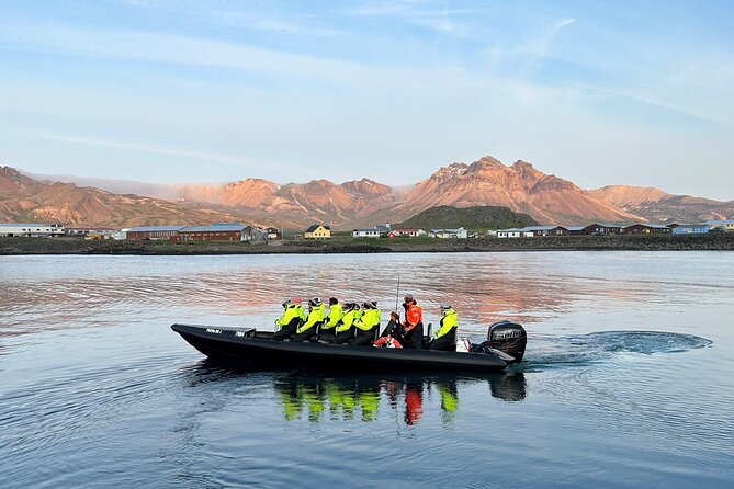 1 Hour Iceland Nature and Wildlife RIB Small Group Guided Safari - The RIB makes the scenery feel close