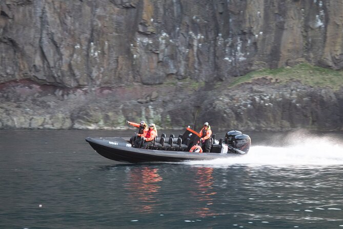 1 Hour Iceland Nature and Wildlife RIB Small Group Guided Safari - The practical value of $160