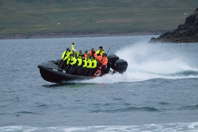 1 Hour Iceland Nature and Wildlife RIB Small Group Guided Safari - Booking advice and cancellation terms
