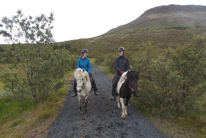 1+ hour Private Horse riding tour from Reykjavík/Mosfellsbær - Key points before you book
