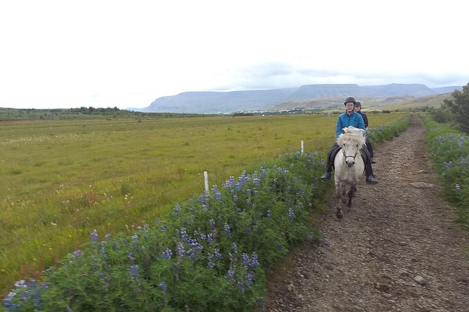 1+ hour Private Horse riding tour from Reykjavík/Mosfellsbær - Arriving at Akrar 2 in Mosfellsbær