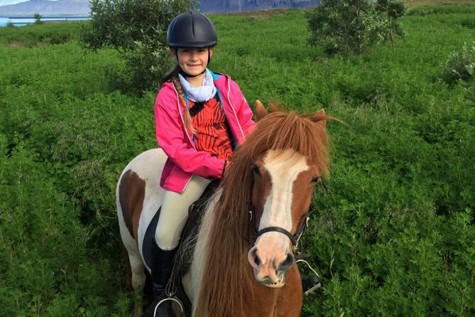 1+ hour Private Horse riding tour from Reykjavík/Mosfellsbær - The first hour on horseback