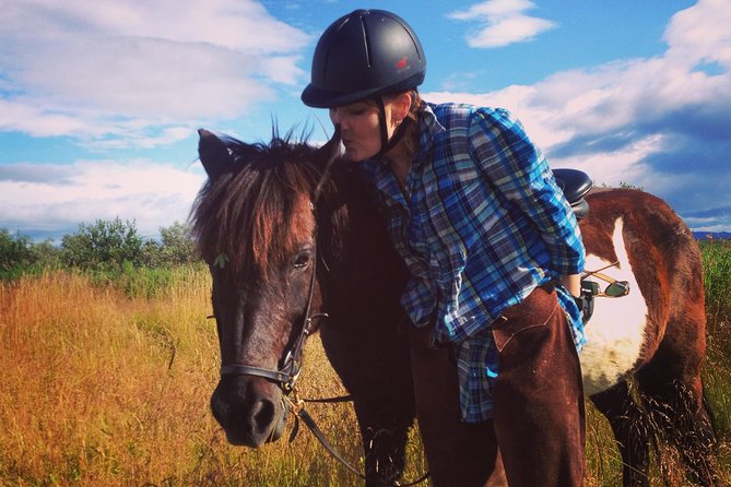 1+ hour Private Horse riding tour from Reykjavík/Mosfellsbær - Meeting your horse and preparing to ride