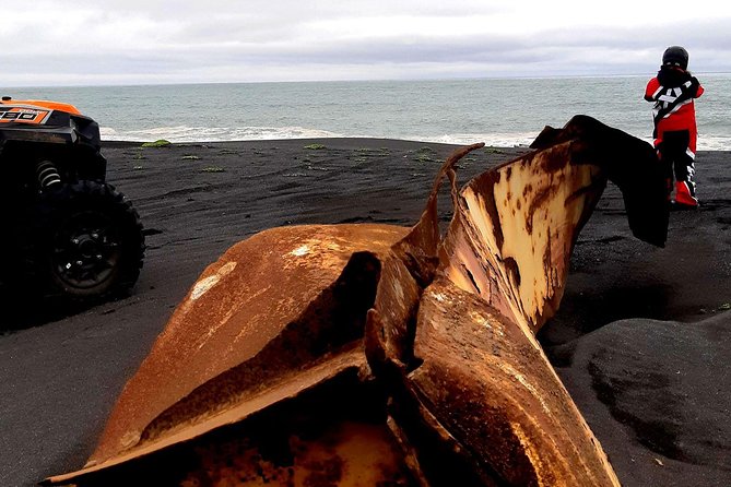 2-Hour Black Sand Beach Buggy Tour from Hella - What you are paying for at $462