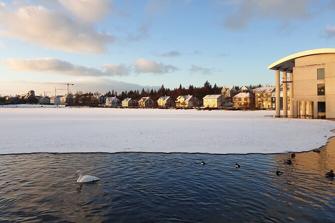 2-Hour Reykjavik Private Walking Tour - Who Will Get the Most From This Walk