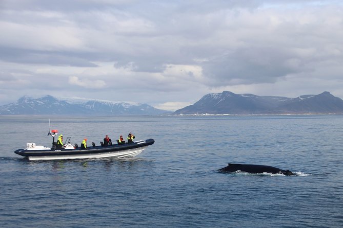 2-Hour RIB Boat Whale Watching Tour from Reykjavik - Crossing Faxaflói Bay toward the feeding grounds