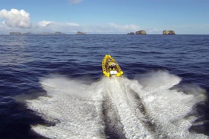 2 hour Round Trip in Vestmannaeyjar on a RIB Boat - Why a RIB is the right boat for Vestmannaeyjar