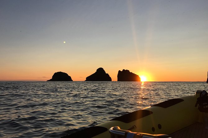 2 hour Round Trip in Vestmannaeyjar on a RIB Boat - Elephant Rock and the island cliffs