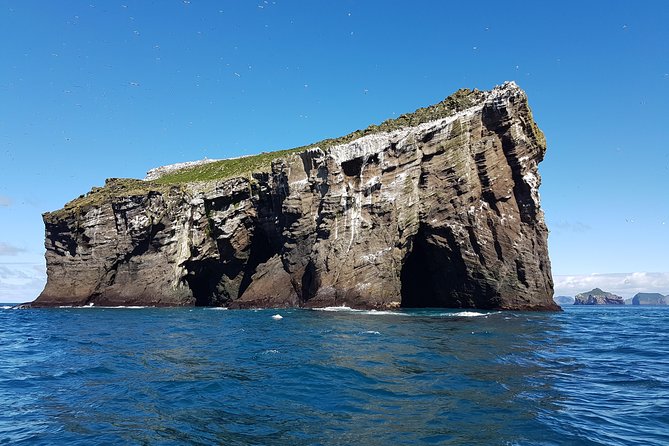 2 hour Round Trip in Vestmannaeyjar on a RIB Boat - Who should book this RIB trip?