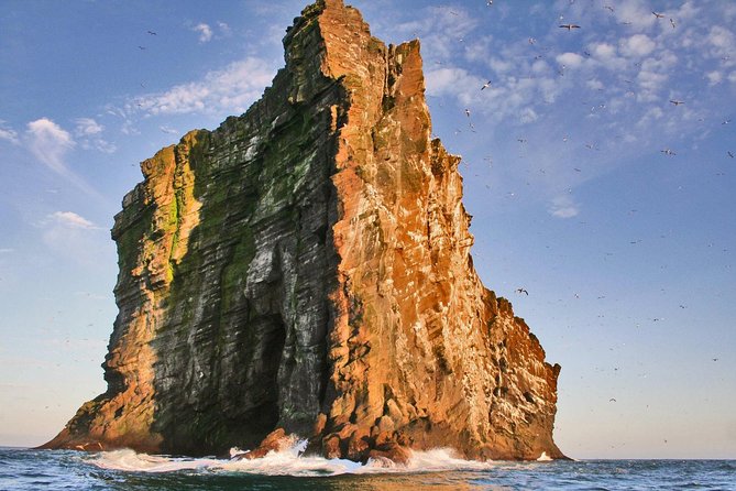 2 hour Round Trip in Vestmannaeyjar on a RIB Boat - From the harbor to the sea caves