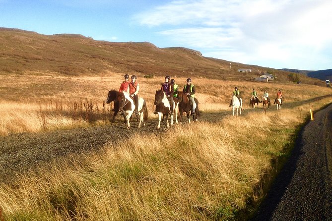 2 hours Private Horse Riding to Lake Hafravatn, Reykjavík - Mos - Getting there and dressing for Icelandic weather