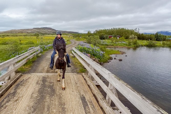 2 hours Private Horse Riding to Lake Hafravatn, Reykjavík - Mos - Who will enjoy this ride most