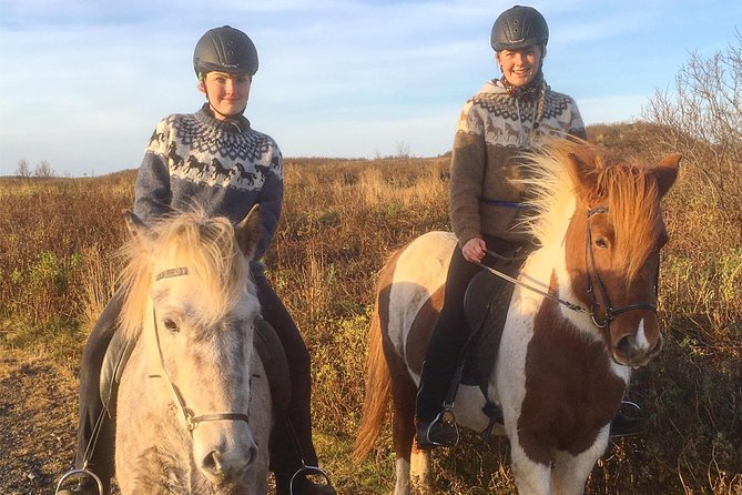 2 hours Private Horse Riding to Lake Hafravatn, Reykjavík - Mos - Meeting and preparing your Icelandic horse