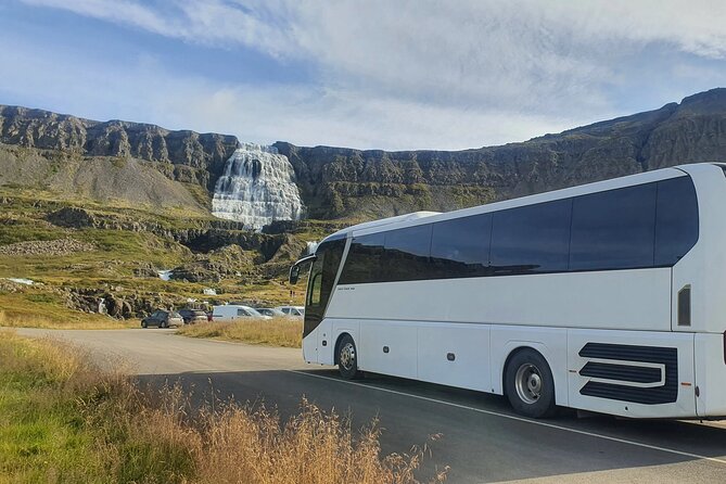 3,5-Hour Sightseeing Tour To Dynjandi Waterfall - Who should choose this excursion