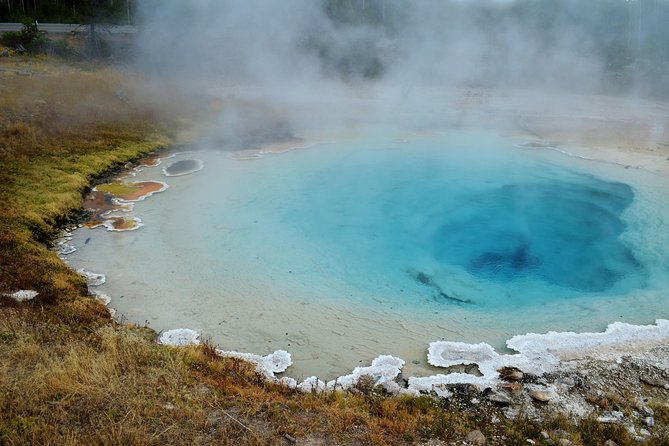 6-Day Minibus Tour Around Iceland from Reykjavik - Day 6: Whales from Hauganes and the road home