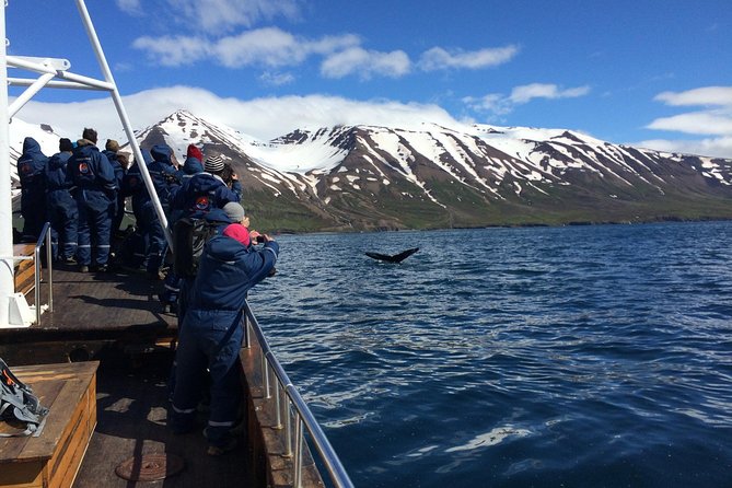7-Day Complete Iceland: South Coast, Golden Circle, Akureyri & Snaefellsnes - Accommodation, Meals, and Group Comfort