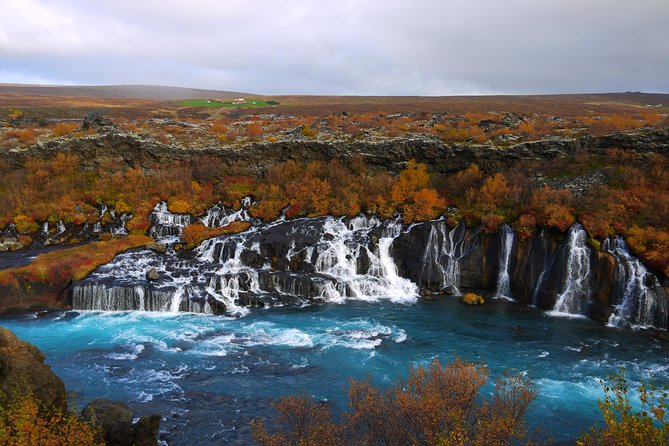 8-Day Iceland Ring Road Tour: Reykjavik, Akureyri, Golden Circle & South Coast - Akureyri, whale watching, and the old fishing towns
