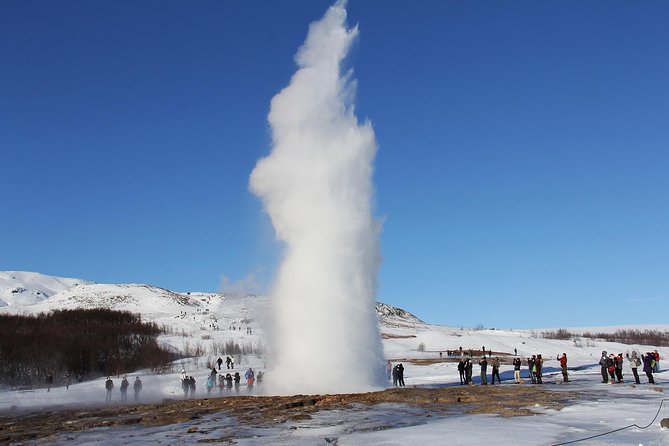 8-Day Small Group Tour Around Iceland from Reykjavik - Day Six: Whales From Hauganes and a Volcanic Crater