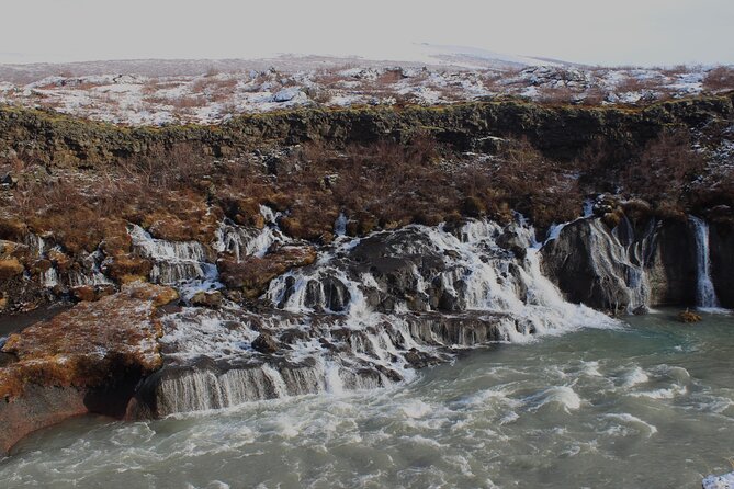 8 Day Winter Circle Tour, Ring Route of Iceland with Snæfellsnes Peninsula - Day 6: Akureyri and whale watching from Hauganes