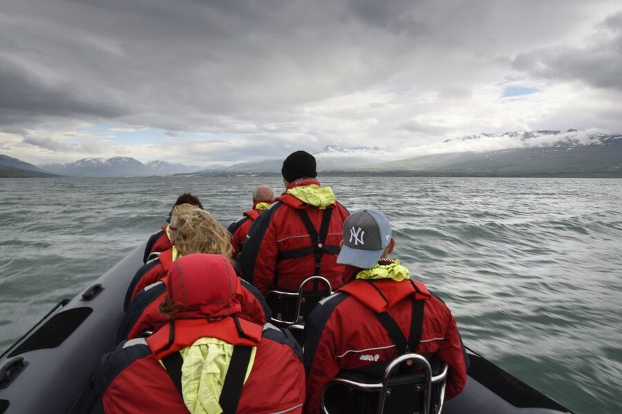 Akureyri: 2-Hour Whale Watching Express by RIB Speedboat - Should you book the two-hour RIB?