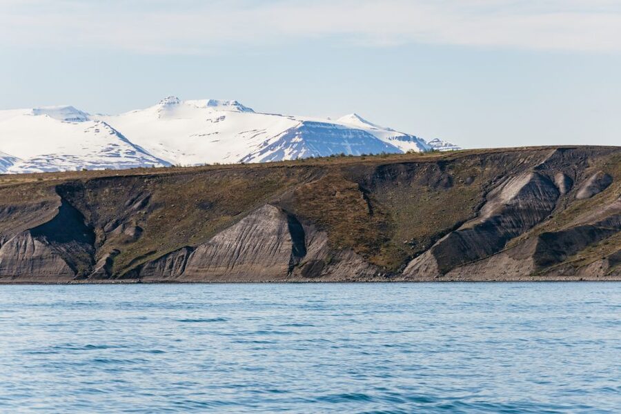 Akureyri: 3-Hour Classic Whale Watching Tour by Ship - Watching whales without crowding them