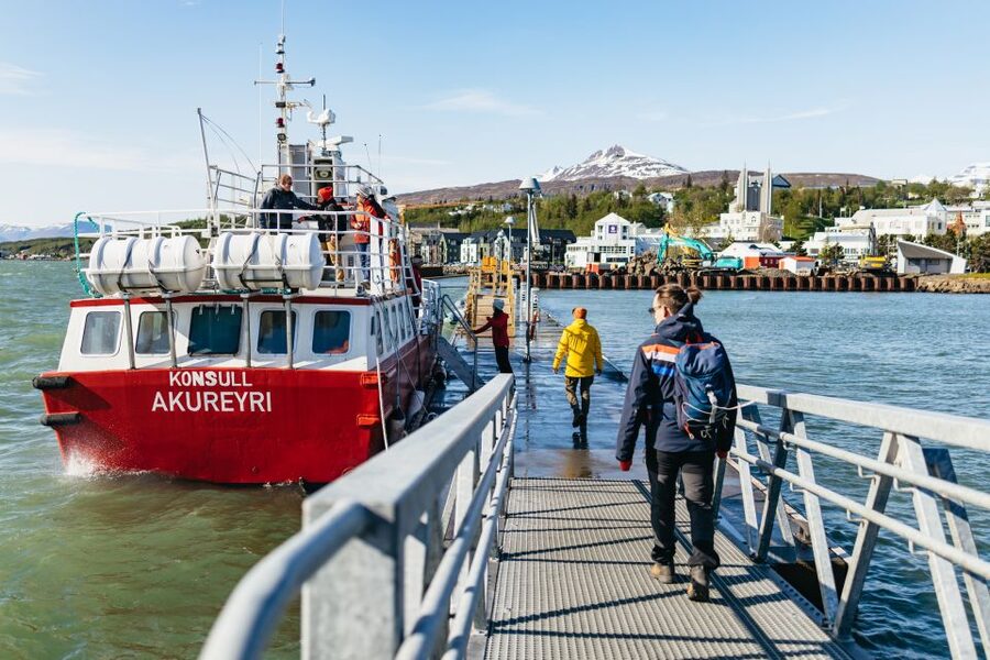 Akureyri: 3-Hour Classic Whale Watching Tour by Ship - What the full three hours feel like