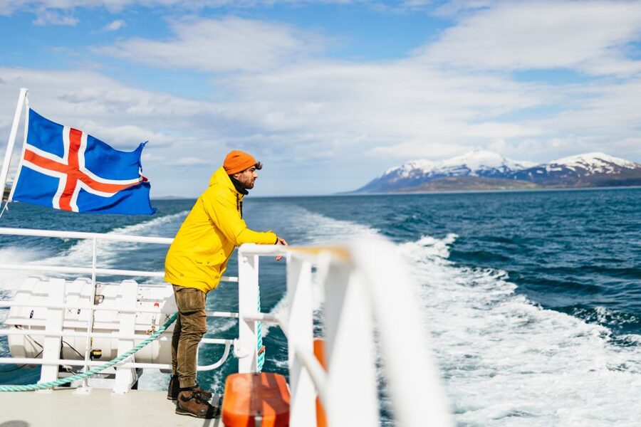 Akureyri: 3-Hour Classic Whale Watching Tour by Ship - Winter, summer, and the odds of seeing whales