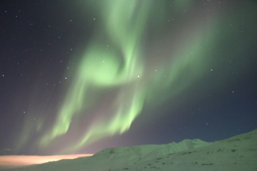 Akureyri: Hunt for the Northern Lights Photography Tour - What the guide adds to the night