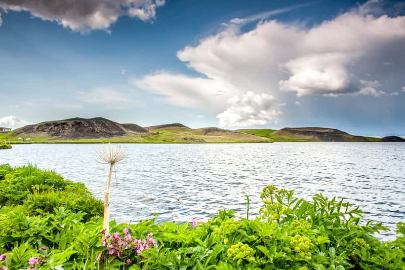 Akureyri Port: Lake Mývatn & Goðafoss Guided Tour with Lunch - Key points at a glance