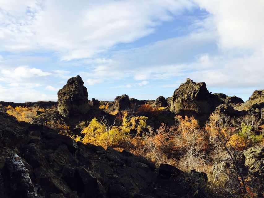 Akureyri Port: Lake Mývatn & Goðafoss Waterfall Day Trip - The optional 90-minute soak at Mývatn Nature Baths