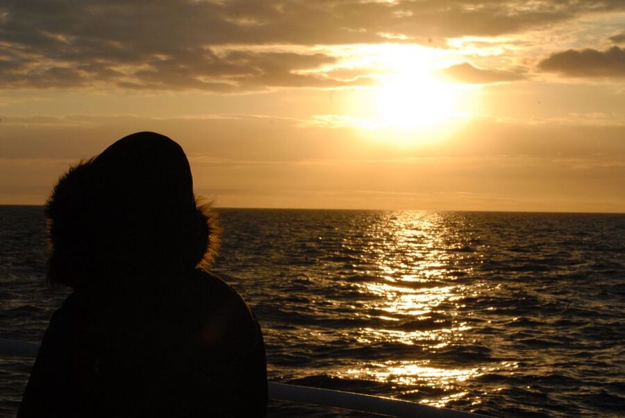 Akureyri: Whale Watching in the Midnight Sun - Is $101 a fair price?
