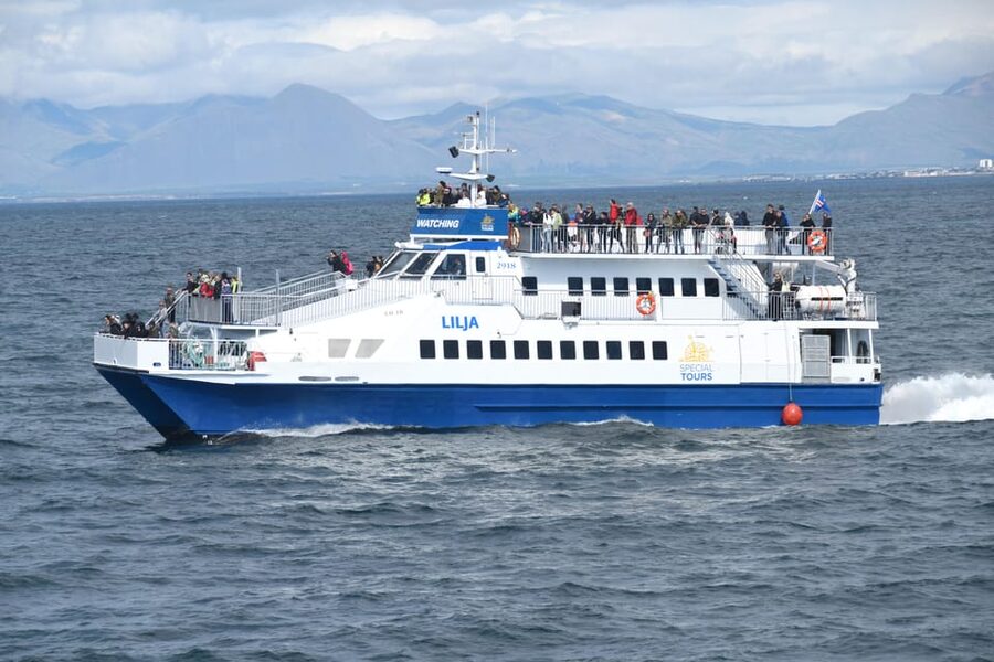 Akureyri: Whale Watching Tour & Forest Lagoon Entrance - Should you book this tour?