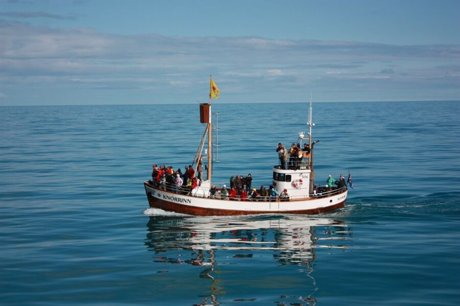 Árskógssandur: Whale-Watching Boat Trip - Getting ready for the morning or afternoon
