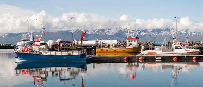 Big Whales & Puffins RIB boat tour from Húsavík - Key points to know before you book
