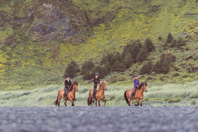Black Sand Beach Horse Riding Tour from Vik - Is one hour enough?
