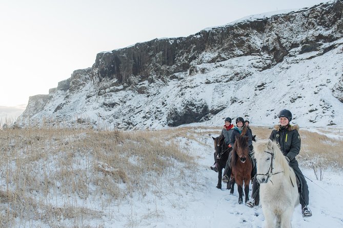 Black Sand Beach Horse Riding Tour from Vik - Who should book this horse ride?