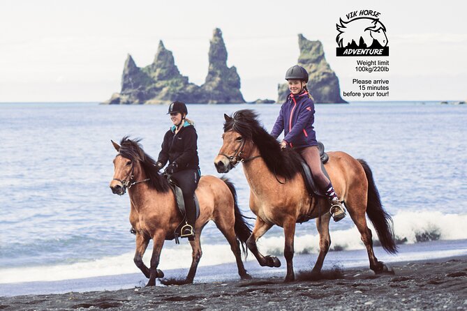 Black Sand Beach Horse Riding Tour from Vik - What the Icelandic horses add