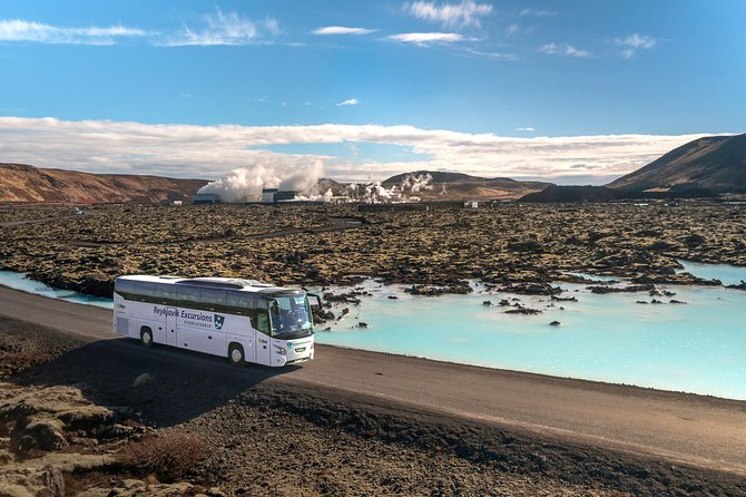 Blue Lagoon Return Bus Transfer from Reykjavik - Practical details before you go