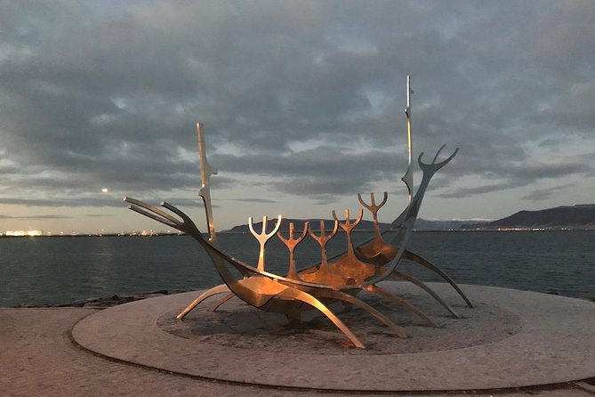 Blue Lagoon & Reykjavík Sightseeing - PRIVATE TOUR - What the private format adds