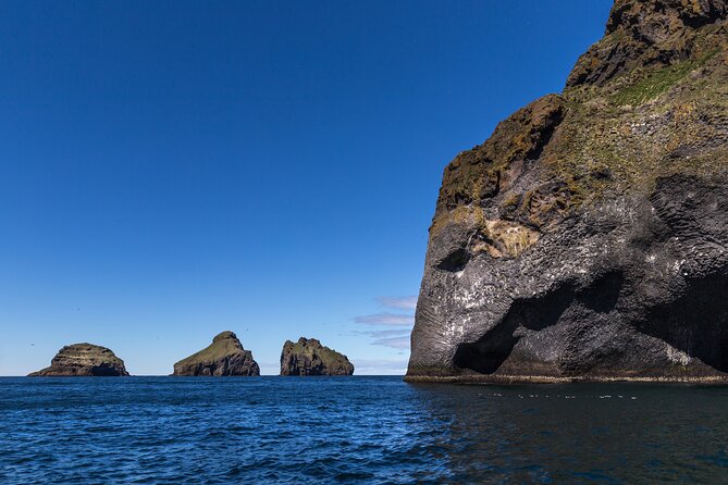 Boat Tour in Vestmannaeyjar - Puffins, seabirds, and the wildlife question