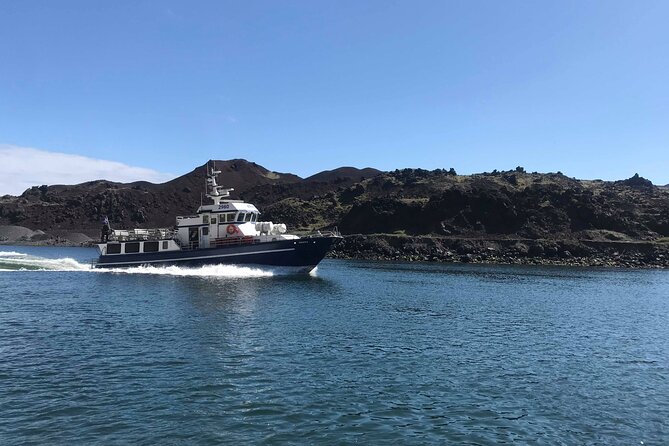 Boat Tour in Vestmannaeyjar - The first views of Heimaey’s volcanic coast