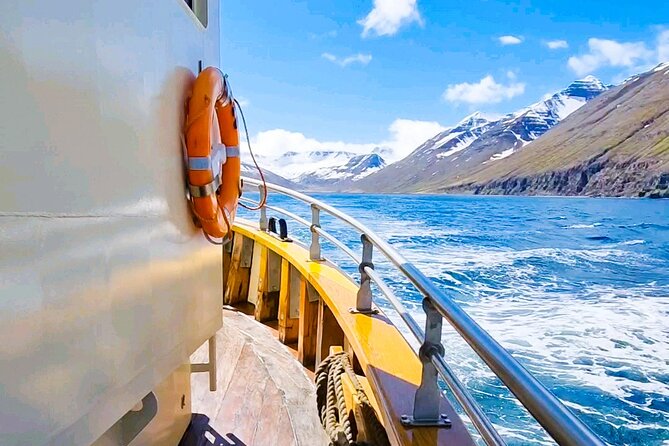 Boat Tours from Siglufjörður - Seeing Siglufjörður from the wooden Örkin