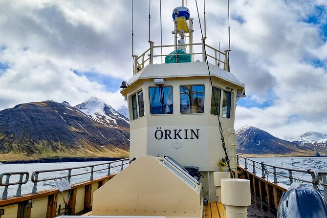 Boat Tours from Siglufjörður - Watch the water for puffins and whales