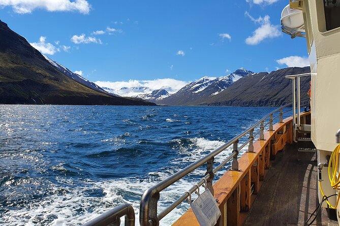 Boat Tours from Siglufjörður - Who will enjoy this trip most