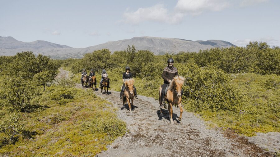 Borgarnes: Horseback Riding Tour with Prep Lesson - Key points at a glance
