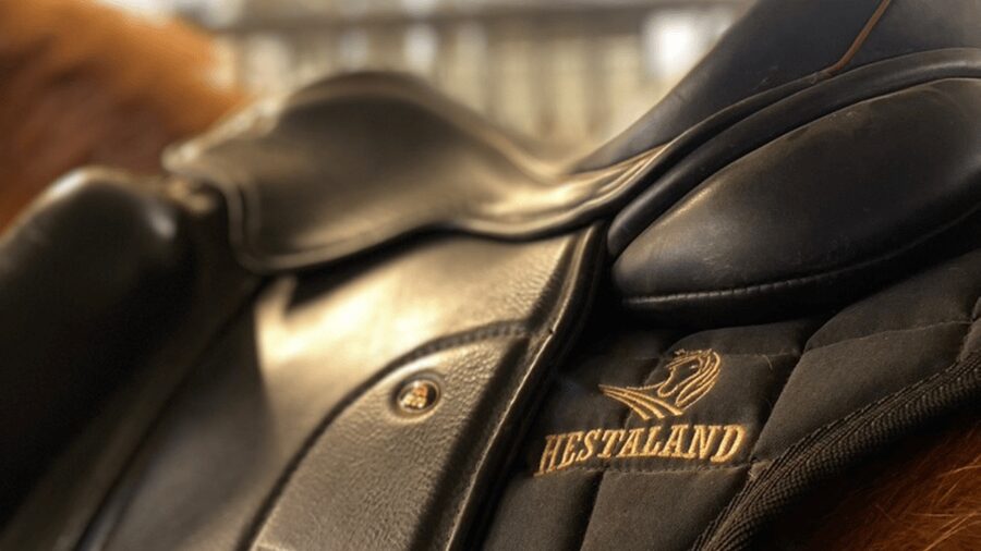 Borgarnes: Horseback Riding Tour with Prep Lesson - Why the indoor arena matters for beginners