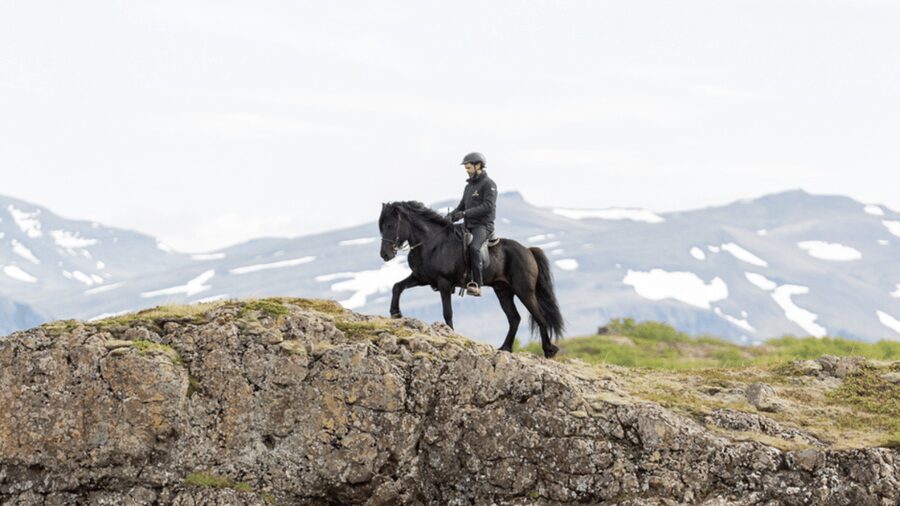 Borgarnes: Horseback Riding Tour with Prep Lesson - What the $109 price gets you