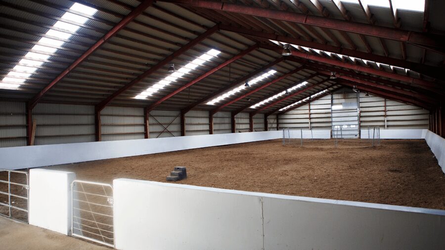 Borgarnes: Horseback Riding Tour with Prep Lesson - Group or private ride?